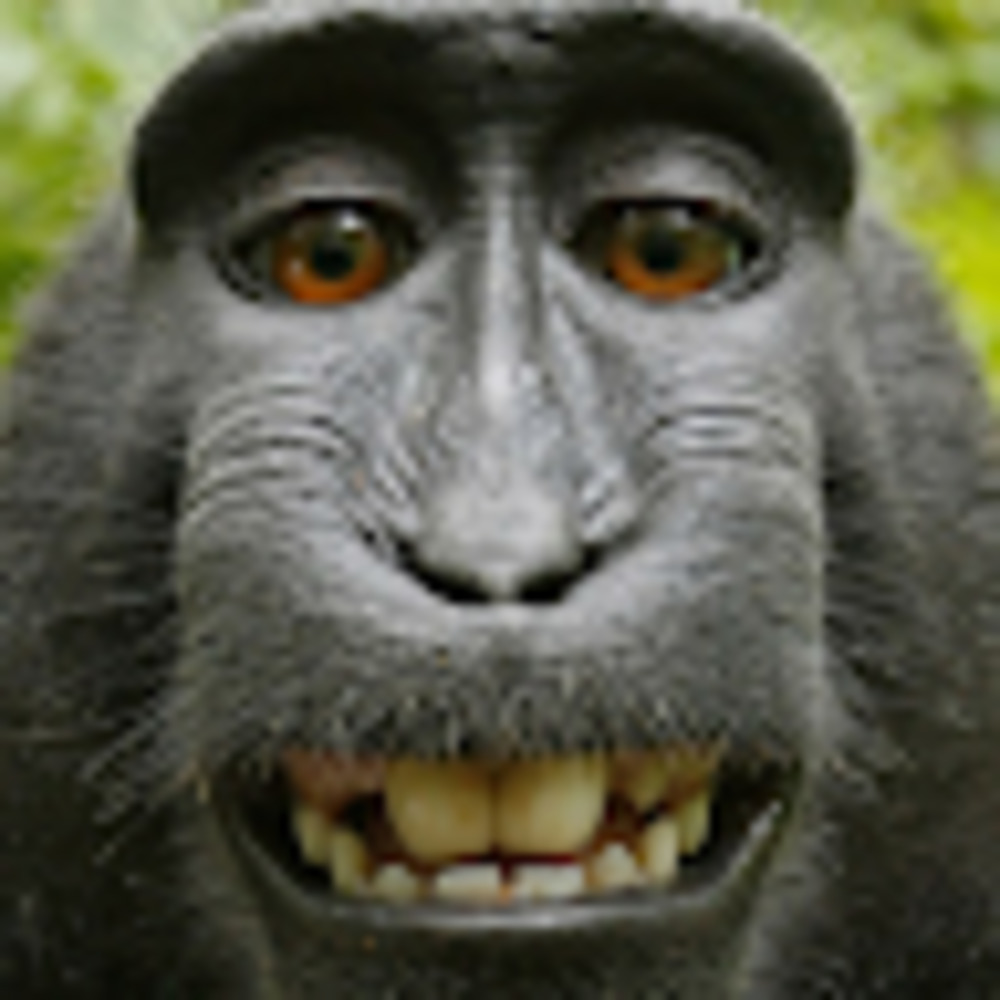 Meet your Posher, Vicki